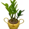 4 inches hook design metal pot with tray – Golden