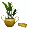 4 inches hook design metal pot with tray – Golden
