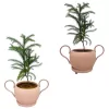 4 inches hook design metal pot with tray - Pink