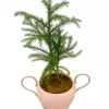 4 inches hook design metal pot with tray - Pink