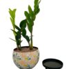 5.5 inches traditional design metal pot with tray