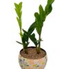 5.5 inches traditional design metal pot with tray