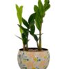 5.5 inches traditional design metal pot with tray