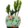 5.5 inches traditional design metal pot with tray