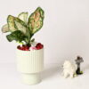 LINEAR LUXE FOOTED CERAMIC PLANTER