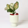 LINEAR LUXE FOOTED CERAMIC PLANTER