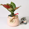 BLUSH TEXTURA CERAMIC POT