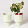 LINEAR LUXE FOOTED CERAMIC PLANTER