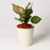 GOLDEN TRACE BEIGE METAL POT