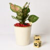 GOLDEN TRACE BEIGE METAL POT