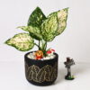 ZEN BLACK TERRACOTTA POT