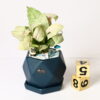MIDNIGHT HEXA SERENITY CERAMIC POT