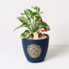 GOLDEN MOTIF TERRACOTTA POT