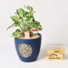 GOLDEN MOTIF TERRACOTTA POT