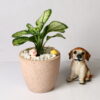 TERRAZZO TERRACOTTA POT