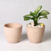 TERRAZZO TERRACOTTA POT