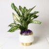 GOLDEN VEIL WHITE METAL PLANTER