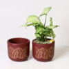 CRIMSON AURELIA TERRACOTTA POT