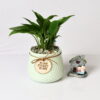 MINT WHISPER TEXTURED CERAMIC POT