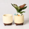PUREZENTO HANDCRAFTED TERRACOTTA POT